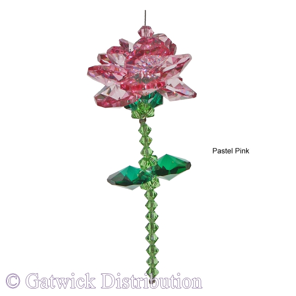 SPECIAL - Veronica's Crystal Rose