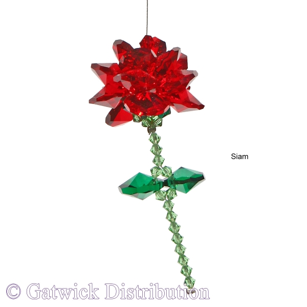 SPECIAL - Veronica's Crystal Rose