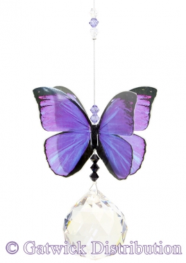 SPECIAL - Butterfly - Purple Azure - Large
