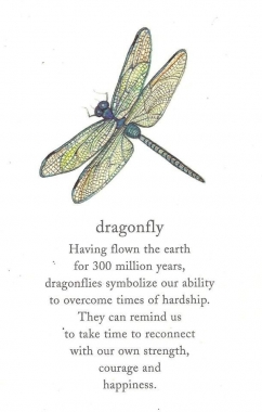 SPECIAL - Crystocraft Dragonfly - Silver