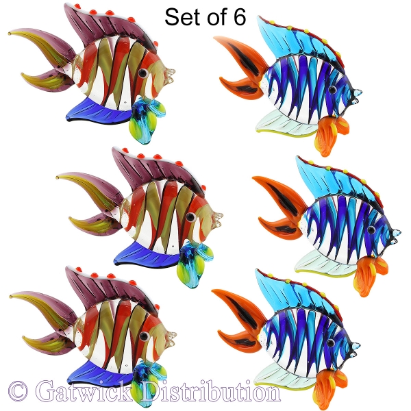 Rainbow Fish - Set of 6