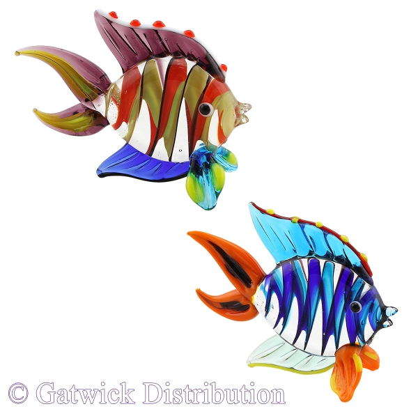 Rainbow Fish - Set of 6