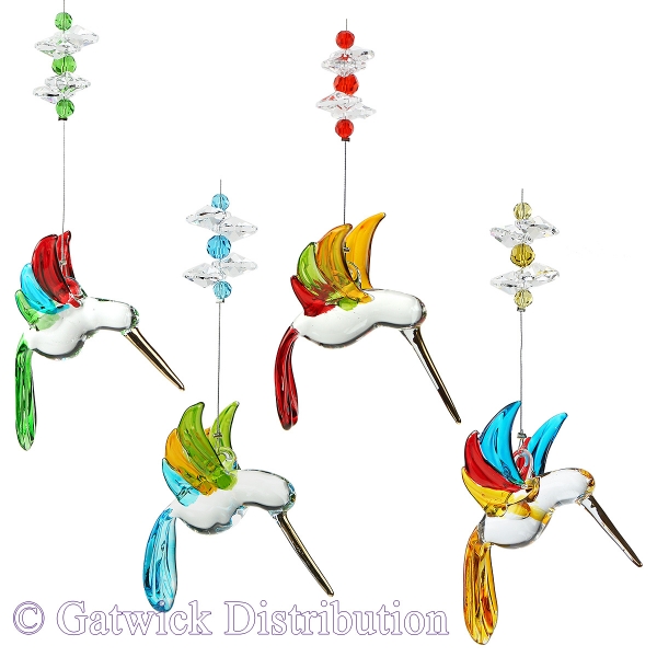 Rainbow Hummingbird - set of 12