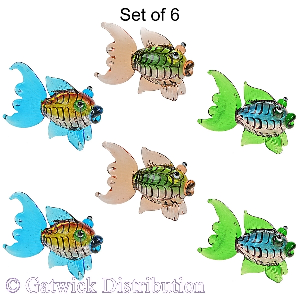 Colourful Reef Fish - Set of 6