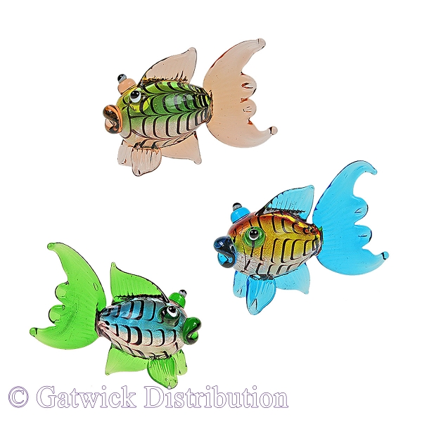 Colourful Reef Fish - Set of 6
