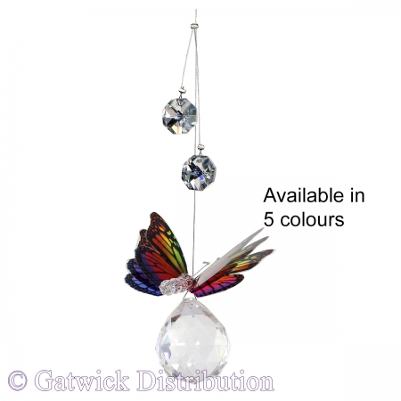 SPECIAL - Butterfly on Sphere