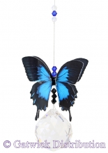 SPECIAL - Butterfly - Ulysses - Large