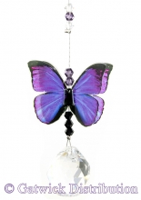 SPECIAL - Butterfly - Purple Azure - Small
