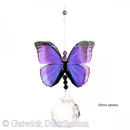 SPECIAL - Butterfly - Purple Azure - Medium