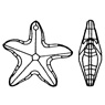 Starfish 6721
