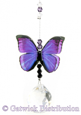 Butterfly - Purple Azure - Small