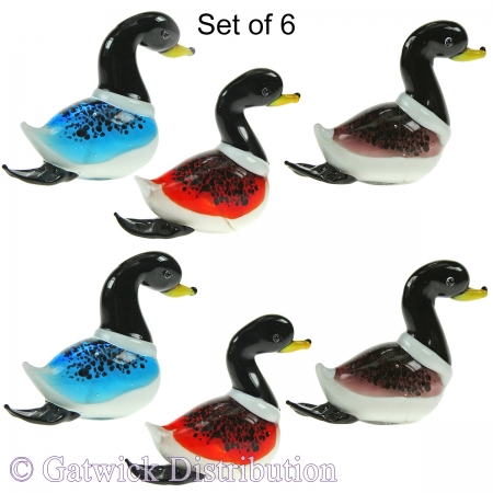 SPECIAL - Colourful Ducks - Set of 6