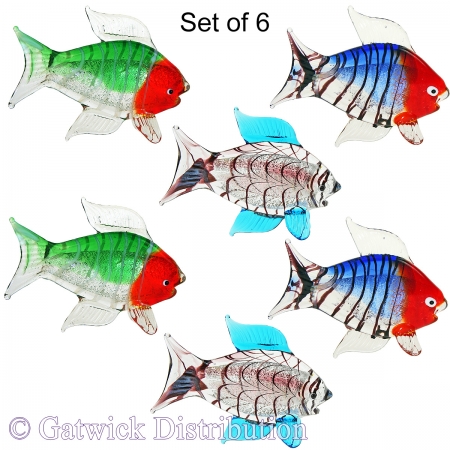 SPECIAL - Coral Fish - Set of 6
