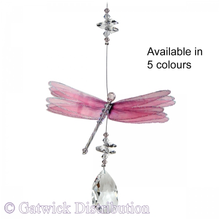 Pastel Dragonfly with Almond Drop