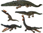Crocodiles - set of 5